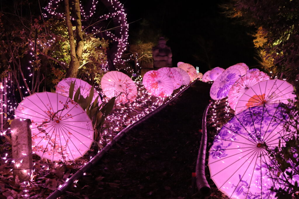 日本京都點亮璀璨冬夜浪漫  海、森、茶、竹四區燈飾活動登場 @去旅行新聞網