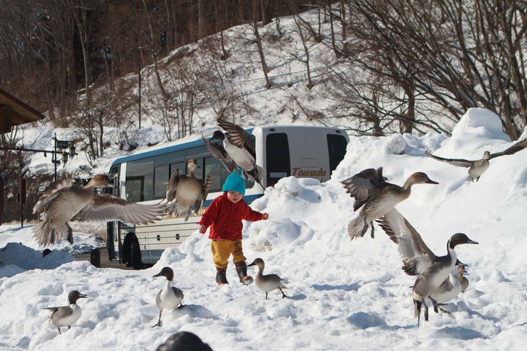 日本福島冬季限定-必去必玩景點、美食10選 @去旅行新聞網 冬季福島-4940