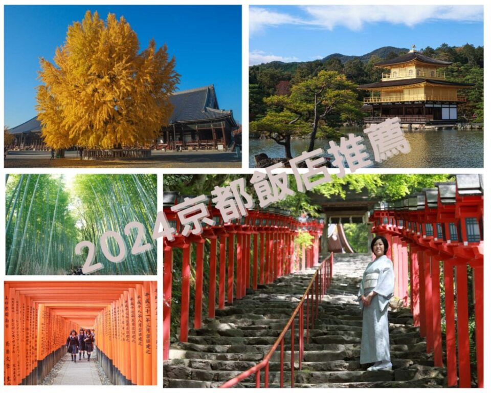 2024京都府櫻花景點推薦》京都河堤、池塘與櫻花的協奏曲 @去旅行新聞網