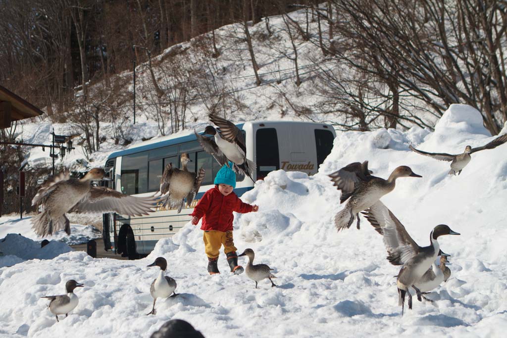 日本福島冬季限定-必去必玩景點、美食10選 @去旅行新聞網