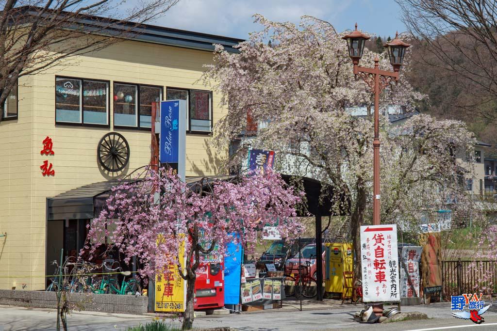 日本東北秋田 角館武家屋敷-2283