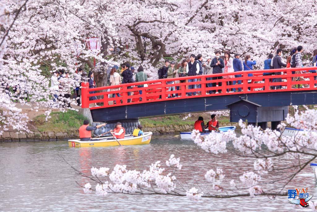 日本東北青森 弘前城櫻花-2032