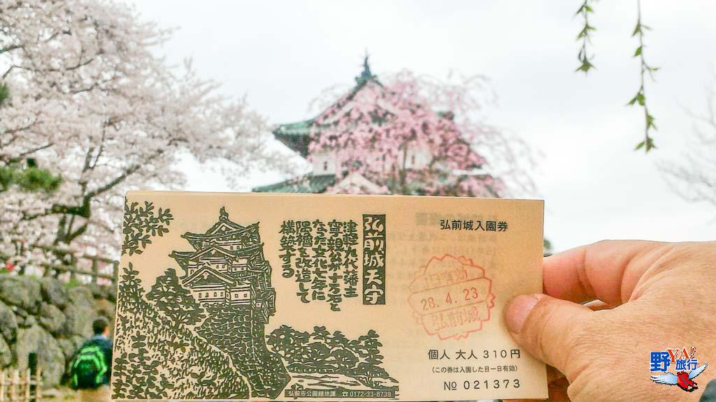 日本東北青森 弘前城櫻花--3