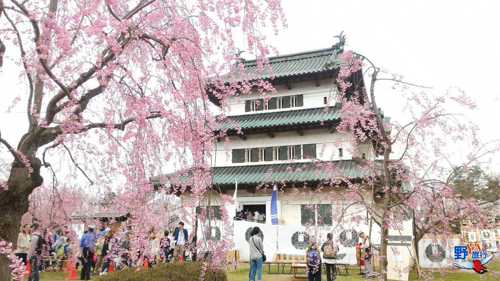 日本東北青森 弘前城櫻花--4