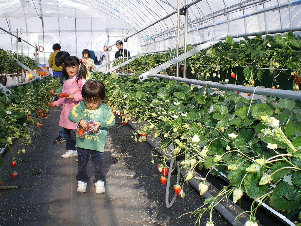 櫻花草莓天堂在日光 季節限定美食4月1日起登場 @去旅行新聞網
