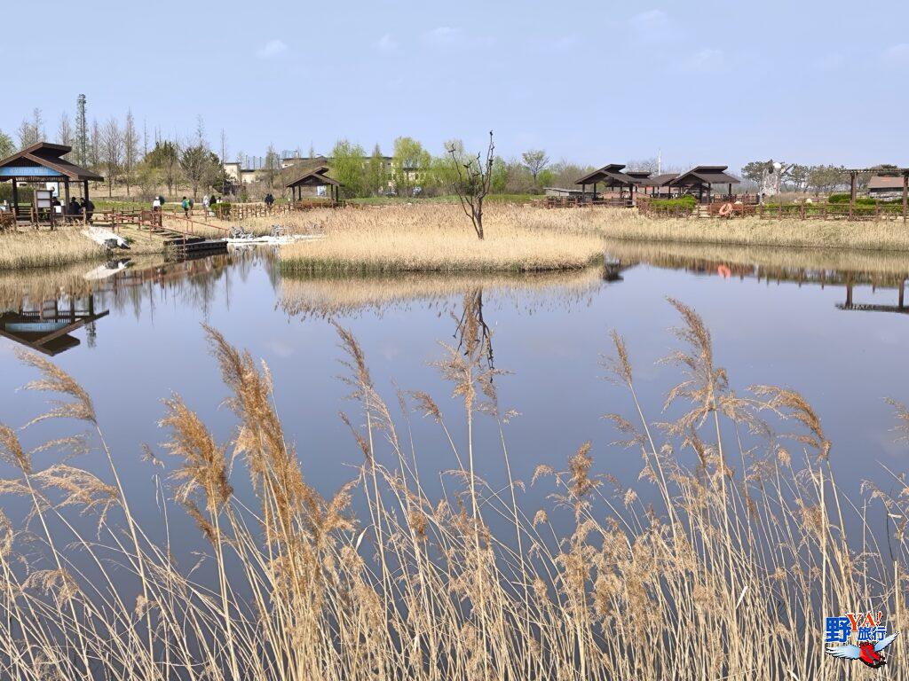 韓國京畿道熱門景點 始興河溝生態公園尋幽訪勝玩體驗 @去旅行新聞網