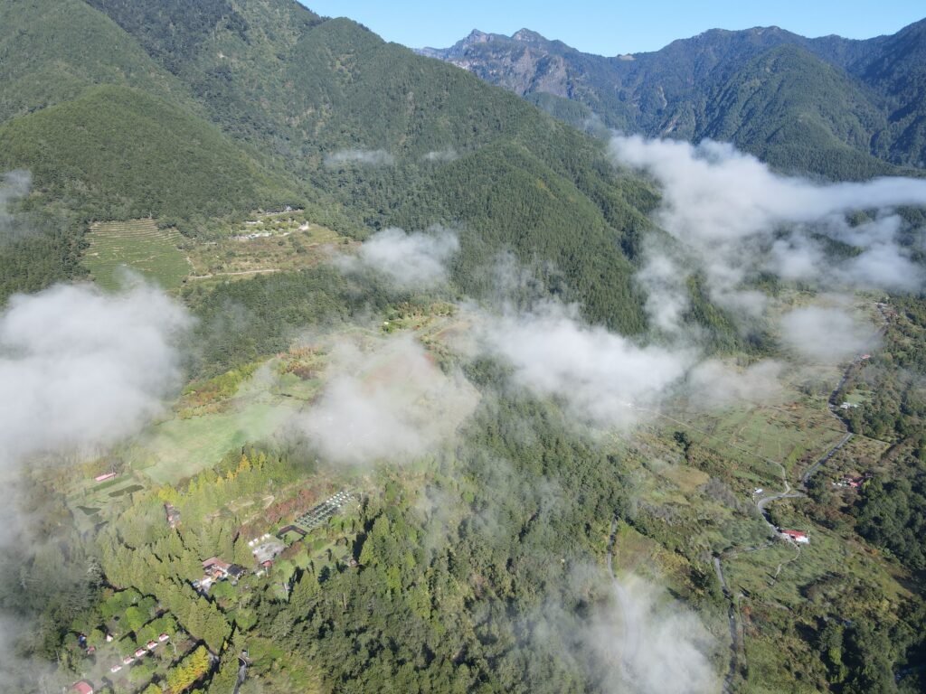 武陵農場夏季魅力繡球花海粉彩登場 訪桃山瀑布嘗水蜜桃酸甜滋味 @去旅行新聞網