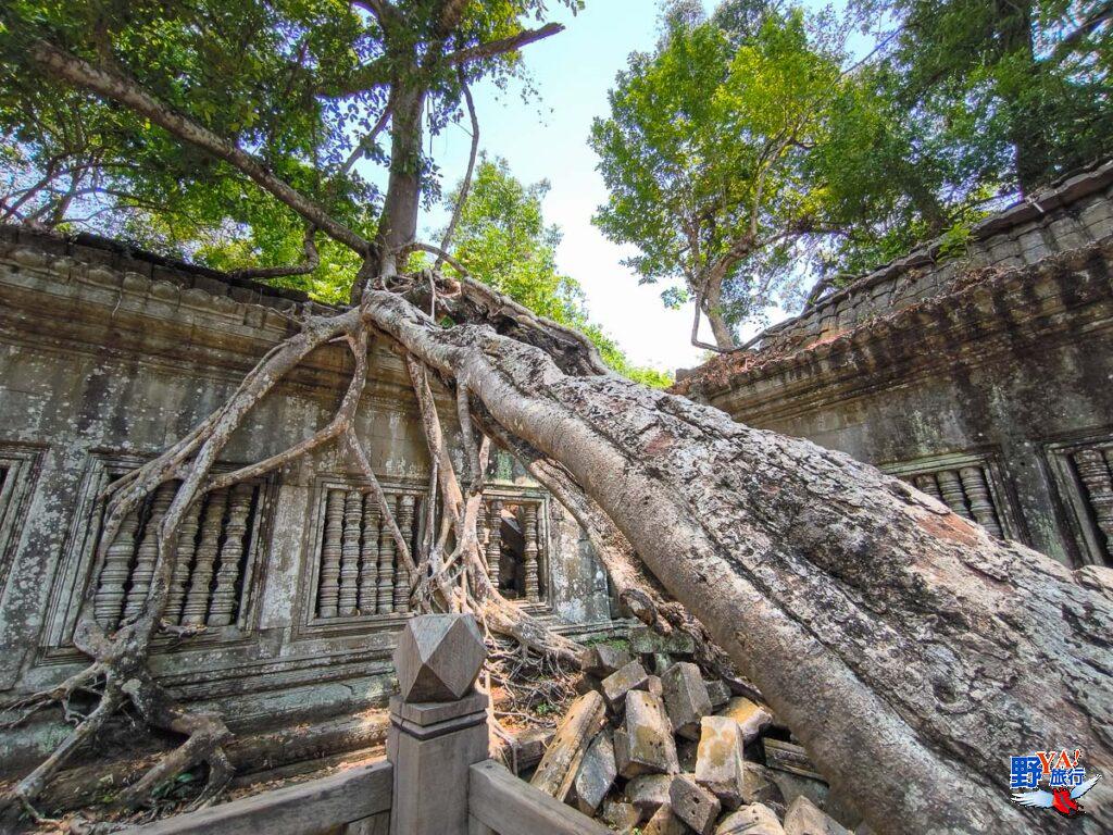 高棉的微笑吳哥采風 叢林中的神秘古蹟-崩密列 Beng Mealea @去旅行新聞網