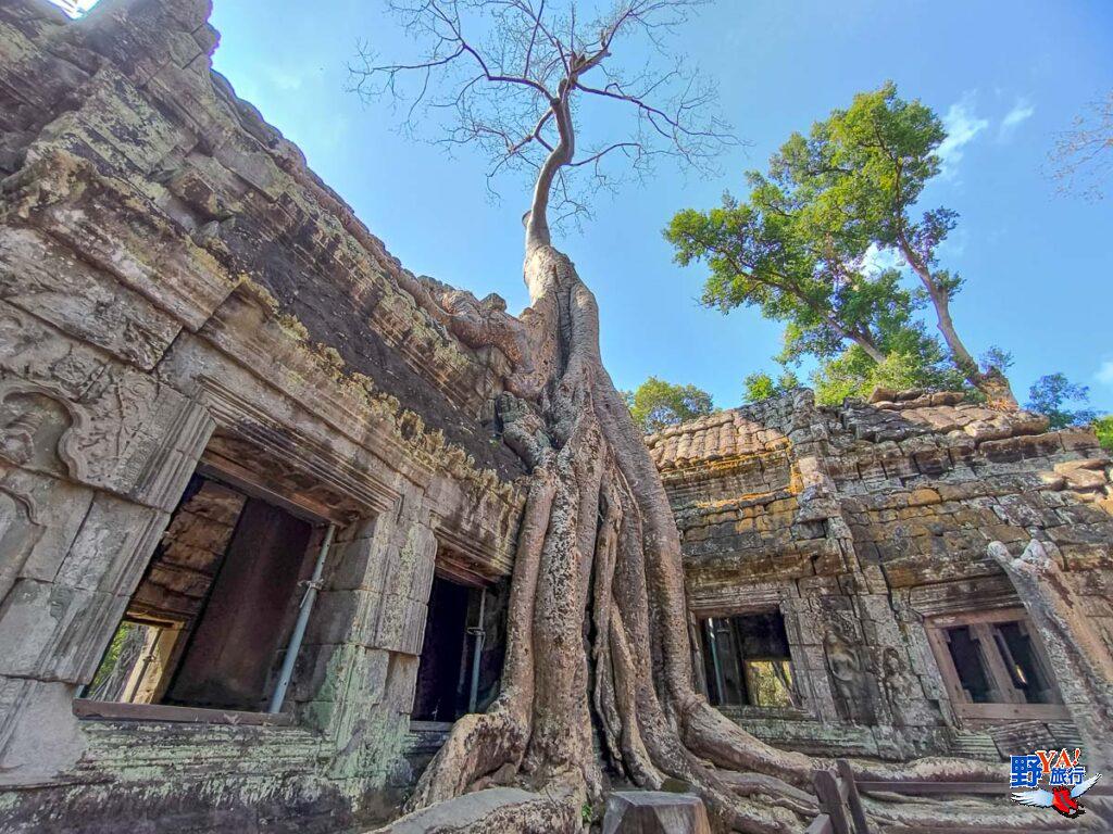 高棉的微笑吳哥采風 與自然共生的塔普倫寺 @去旅行新聞網