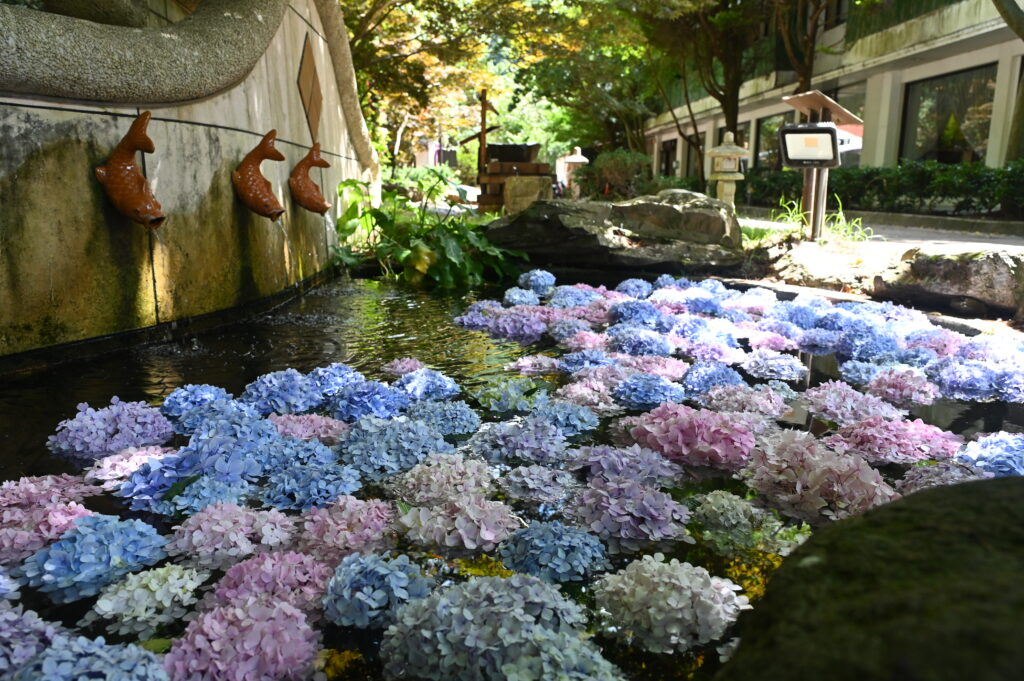 武陵農場夏季魅力繡球花海粉彩登場 訪桃山瀑布嘗水蜜桃酸甜滋味 @去旅行新聞網