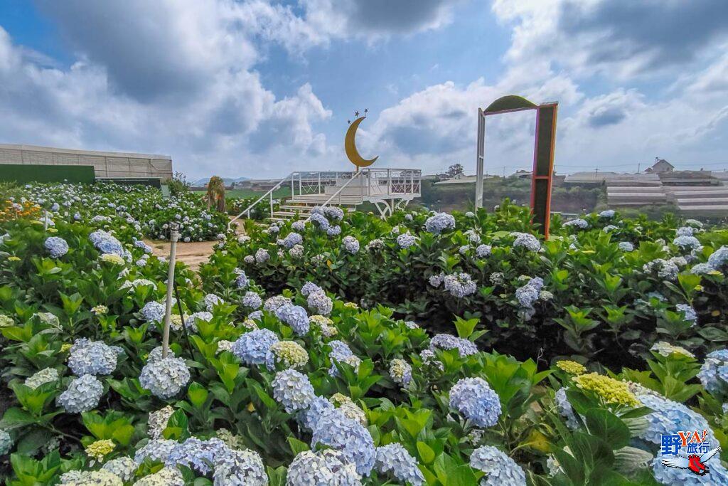 越南大叻繡球花園Garden Hydrangeas 一年四季都開花 @去旅行新聞網