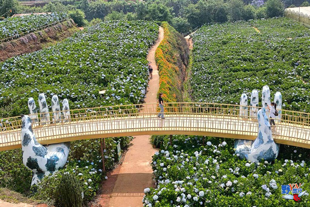 越南大叻繡球花園Garden Hydrangeas 一年四季都開花 @去旅行新聞網