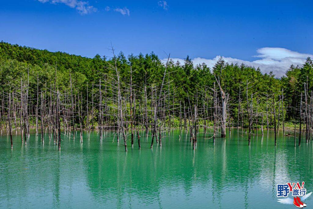 北海道美瑛自駕拼布大地景點攻略 @去旅行新聞網