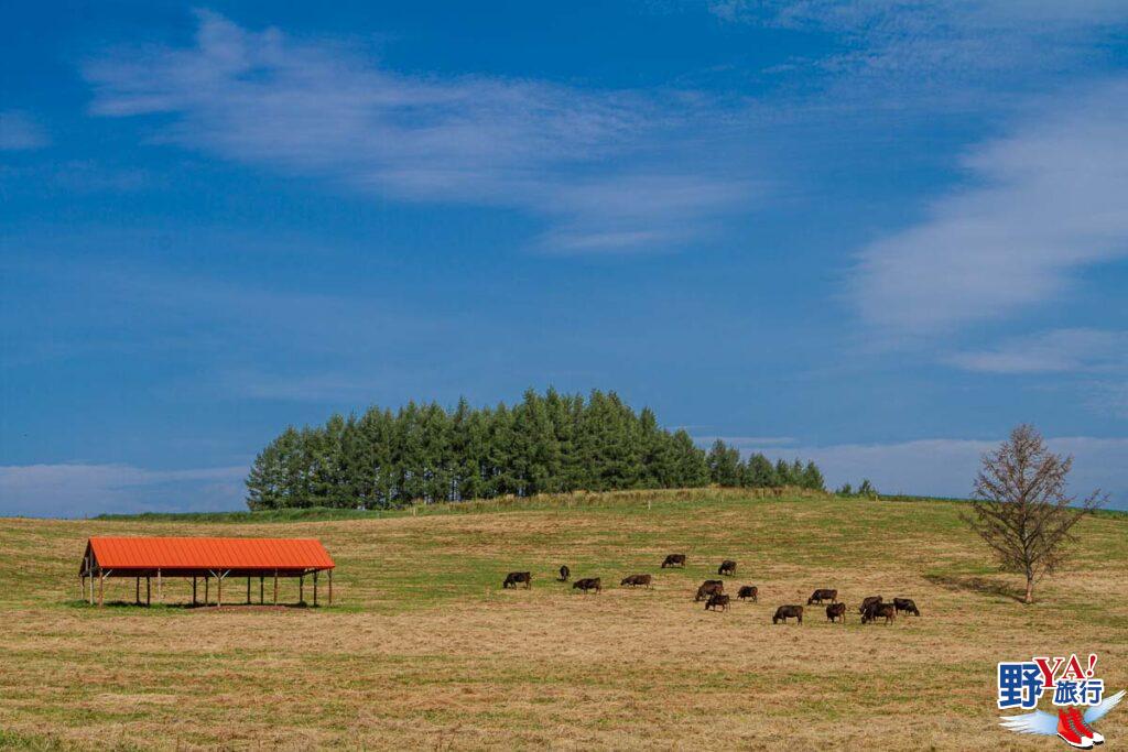 北海道美瑛自駕拼布大地景點攻略 @去旅行新聞網