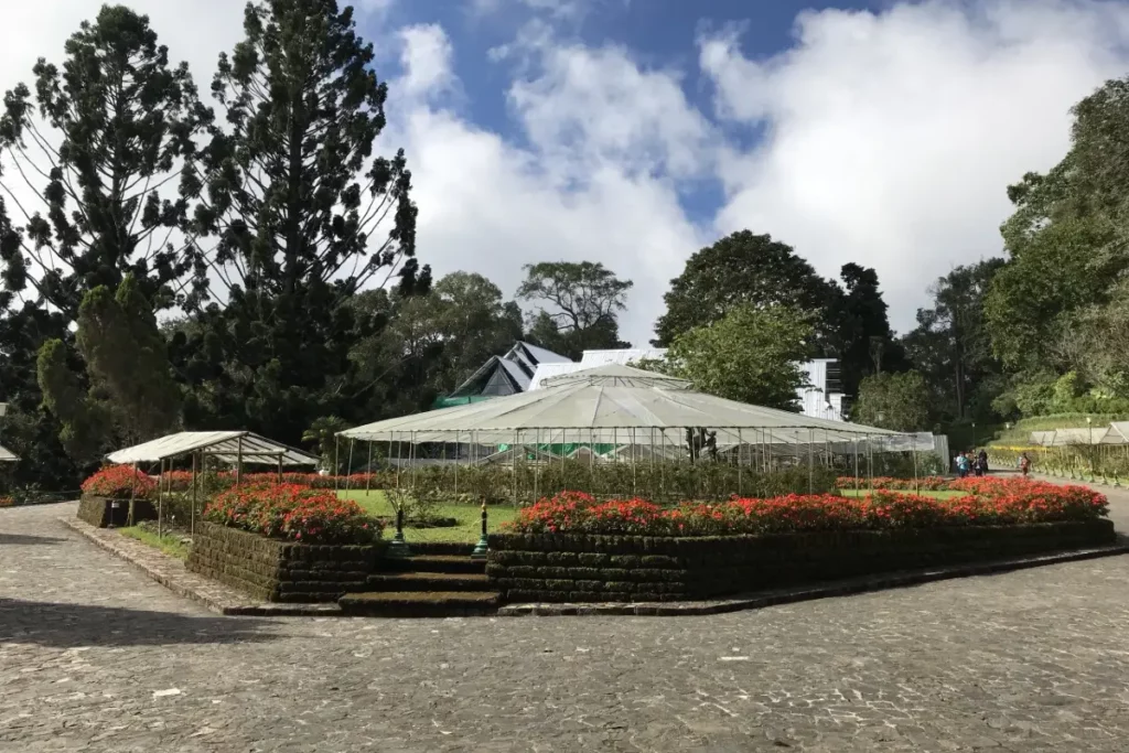 清邁素帖山皇室玫瑰園 蒲屏皇宮Bhubing Palace夏宮美景 @去旅行新聞網