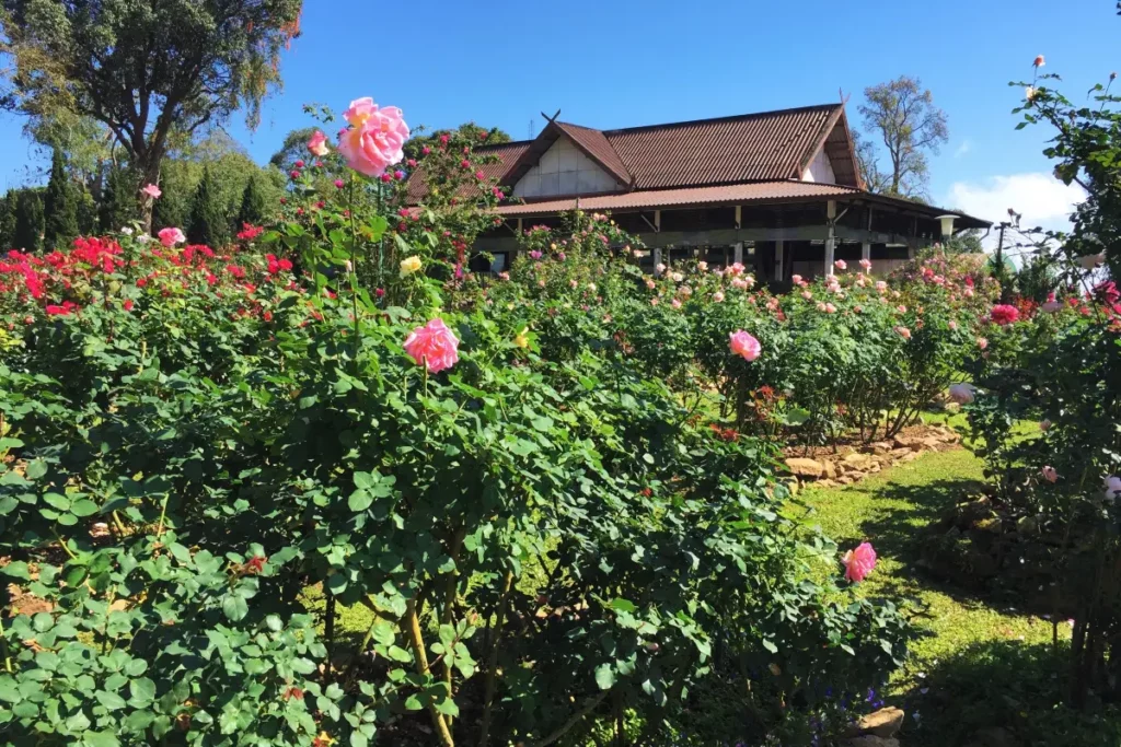 清邁素帖山皇室玫瑰園 蒲屏皇宮Bhubing Palace夏宮美景 @去旅行新聞網