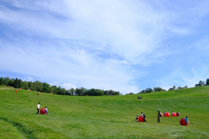 札幌瀧野鈴蘭丘陵公園百花盛開 享受北海道短暫美好的夏天！ @去旅行新聞網