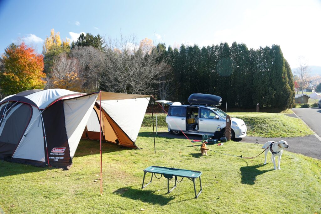 北海道私房秘境：深川市7月櫻桃採摘與夏祭狂歡 @去旅行新聞網