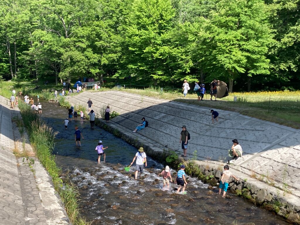 札幌瀧野鈴蘭丘陵公園百花盛開 享受北海道短暫美好的夏天！ @去旅行新聞網