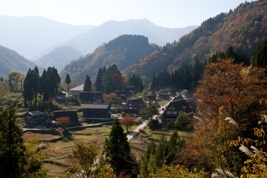 𝟮𝟬𝟮𝟮山谷燈光節　最高海拔聖誕樹點燈 @去旅行新聞網