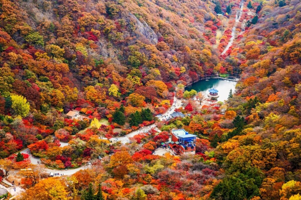 花蓮石梯坪PADI潛水訓練 體驗穿越魚牆的快感 @去旅行新聞網