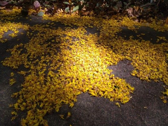 晶華集團捷絲旅大阪心齋橋館入住體驗 每晚台幣千元起超優惠 @去旅行新聞網