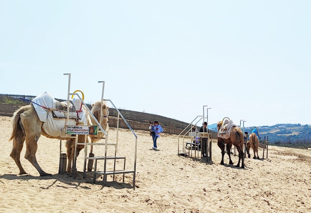 日本鳥取探秘！自然、歷史、漫畫、溫泉齊聚的山陰旅遊勝地，純樸風土民情令人著迷 @去旅行新聞網