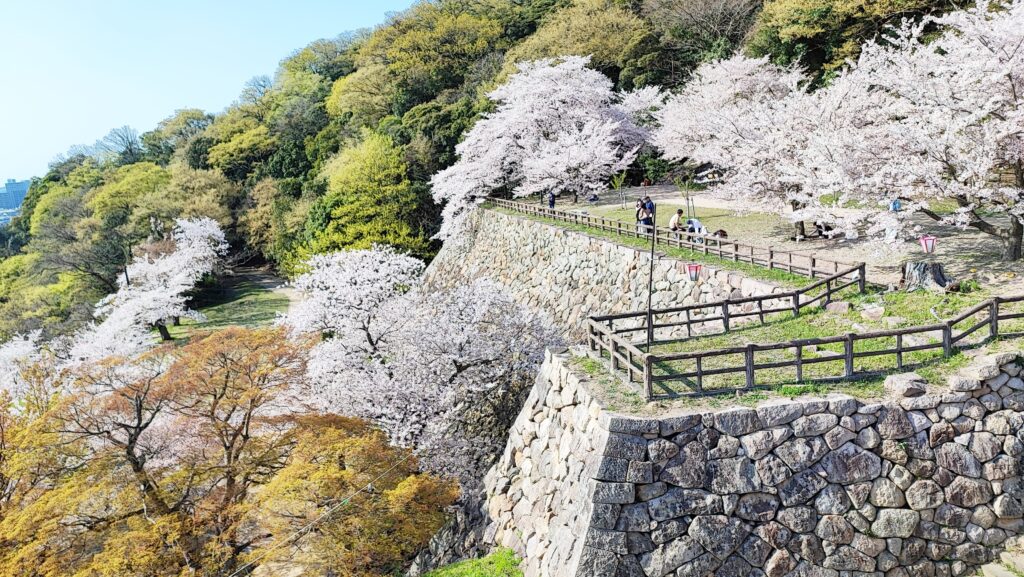 日本鳥取探秘！自然、歷史、漫畫、溫泉齊聚的山陰旅遊勝地，純樸風土民情令人著迷 @去旅行新聞網