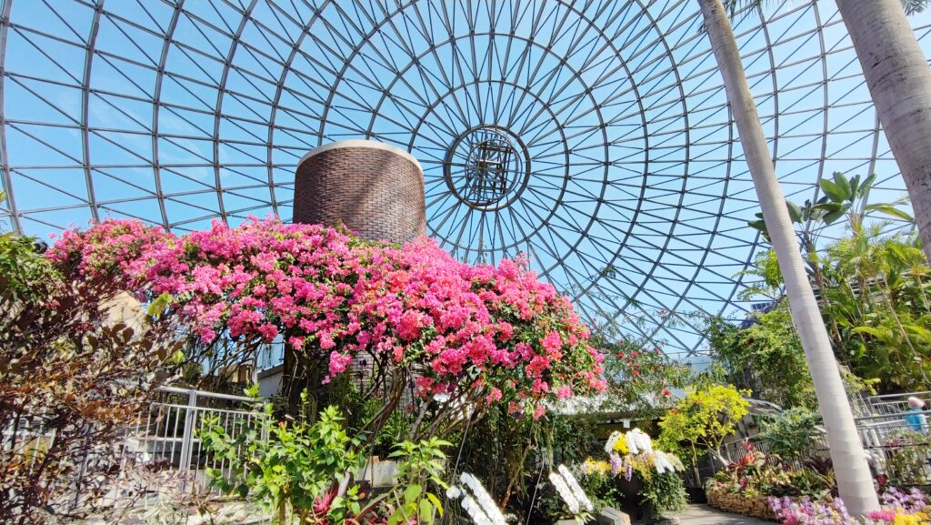 日本鳥取探秘！自然、歷史、漫畫、溫泉齊聚的山陰旅遊勝地，純樸風土民情令人著迷 @去旅行新聞網