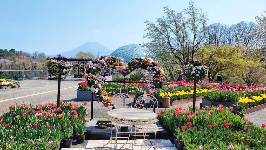 日本鳥取探秘！自然、歷史、漫畫、溫泉齊聚的山陰旅遊勝地，純樸風土民情令人著迷 @去旅行新聞網