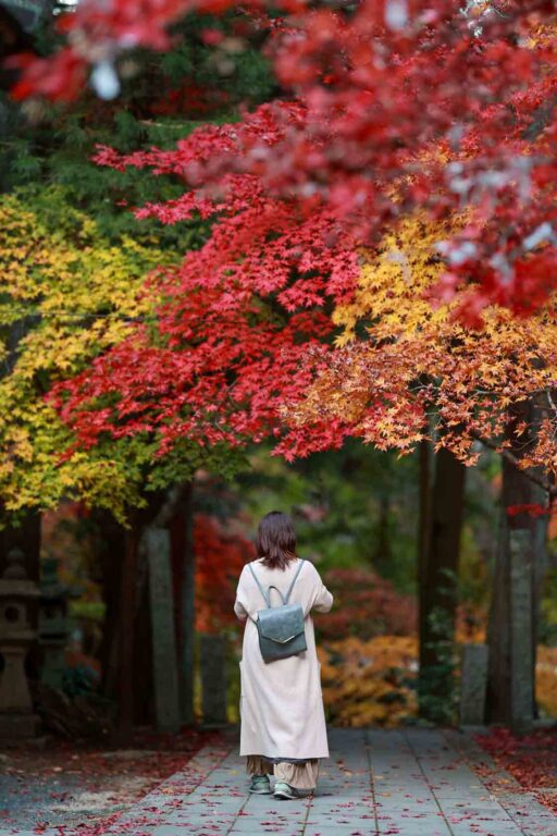 廣島秋季必訪景點9選 火紅楓葉、心形紅葉、金黃銀杏美到窒息 @去旅行新聞網