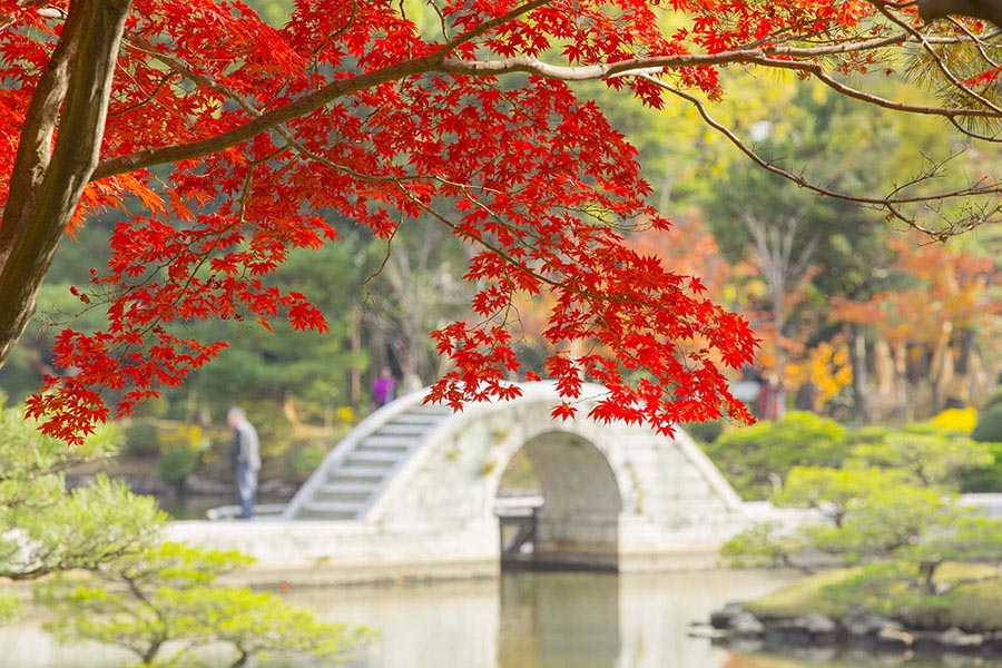 廣島秋季必訪景點9選 火紅楓葉、心形紅葉、金黃銀杏美到窒息 @去旅行新聞網