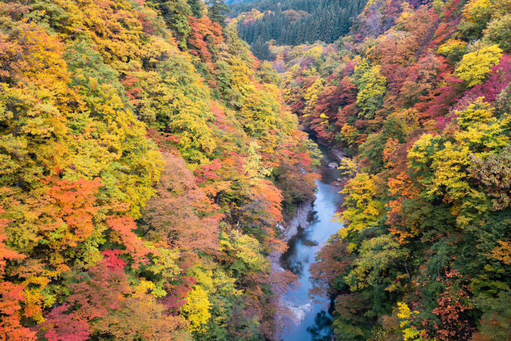 日本東北旅遊浪漫秋田賞楓景點TOP10 日本東北旅遊浪漫秋田賞楓景點TOP10 @Tournews