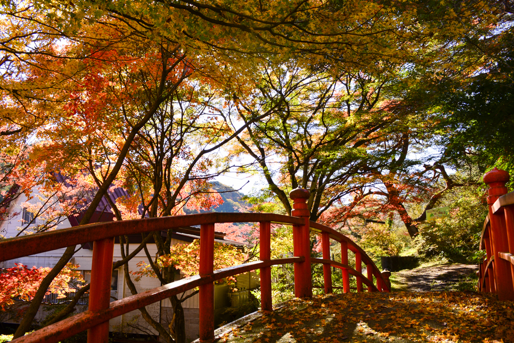 日本東北賞楓推薦 精選福島賞楓景點TOP10 @去旅行新聞網 1.矢祭山公園-照片出處(福島縣觀光復興推進委員會)