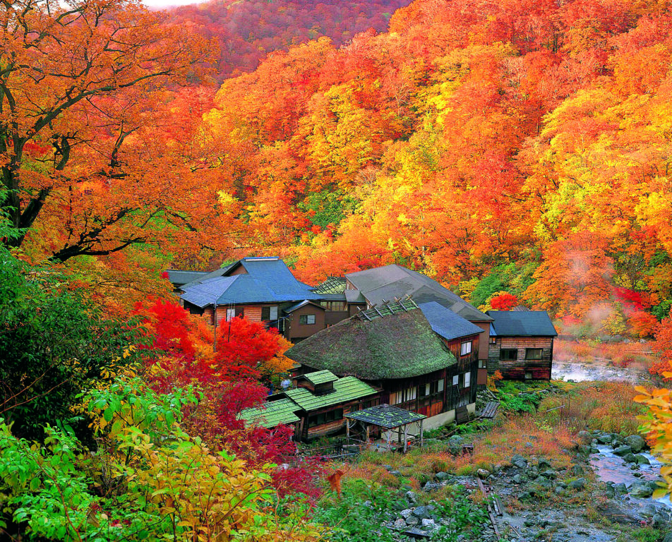 日本東北旅遊浪漫秋田賞楓景點TOP10 日本東北旅遊浪漫秋田賞楓景點TOP10 @Tournews