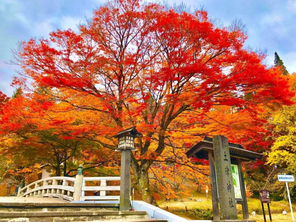 日本東北賞楓推薦 精選福島賞楓景點TOP10 @去旅行新聞網 2.土津神社-照片出處(日本旅遊推廣中心)