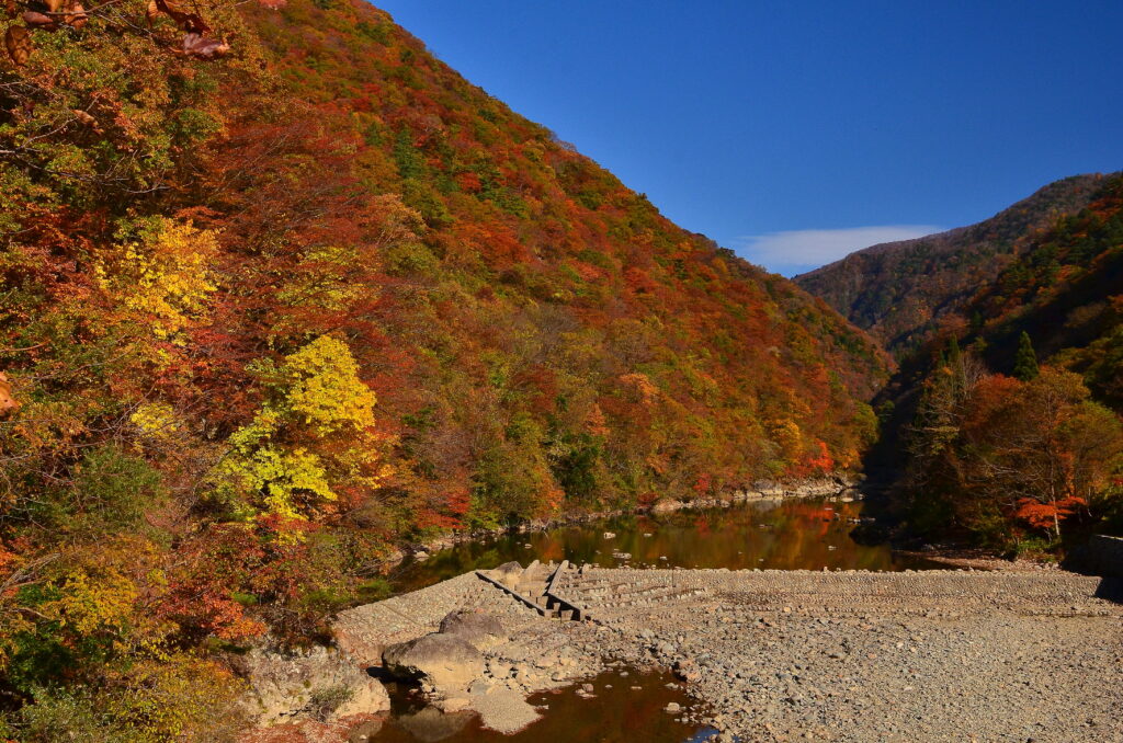 日本東北旅遊浪漫秋田賞楓景點TOP10 日本東北旅遊浪漫秋田賞楓景點TOP10 @Tournews