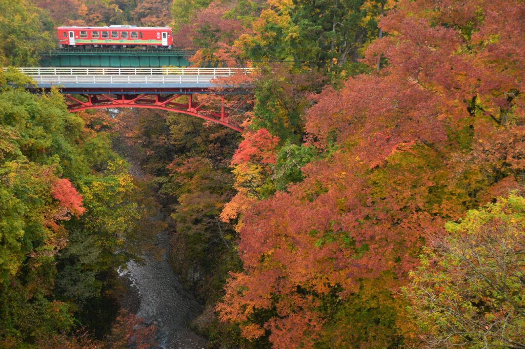 日本東北旅遊浪漫秋田賞楓景點TOP10 日本東北旅遊浪漫秋田賞楓景點TOP10 @Tournews