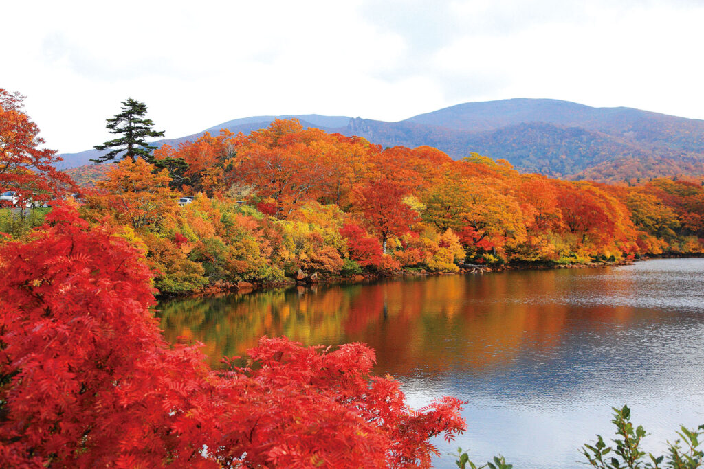 日本東北旅遊浪漫秋田賞楓景點TOP10 日本東北旅遊浪漫秋田賞楓景點TOP10 @Tournews