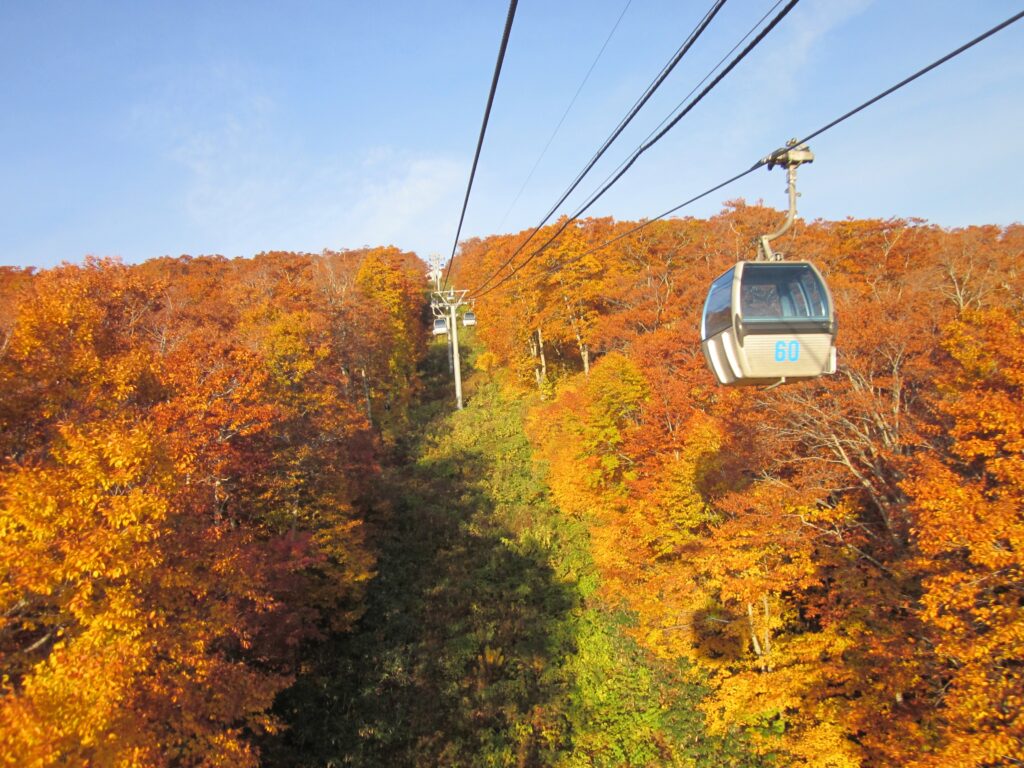 日本東北旅遊浪漫秋田賞楓景點TOP10 日本東北旅遊浪漫秋田賞楓景點TOP10 @Tournews