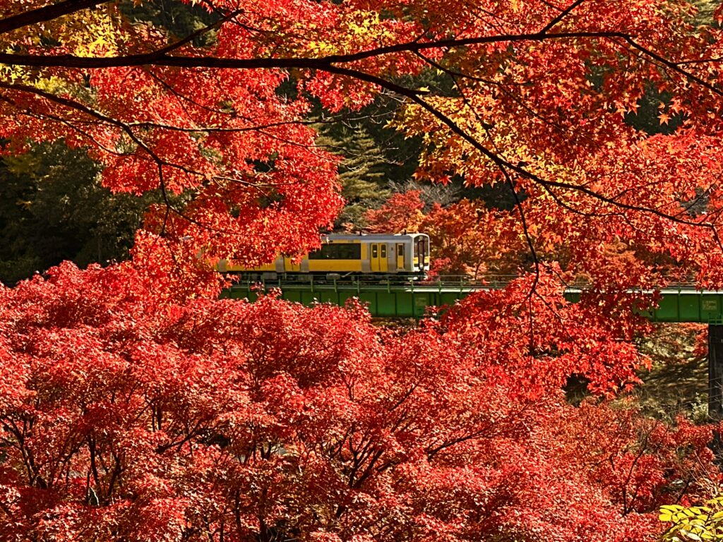 日本東北賞楓推薦 精選福島賞楓景點TOP10 @去旅行新聞網 3.矢祭山公園-照片出處(日本旅遊推廣中心)