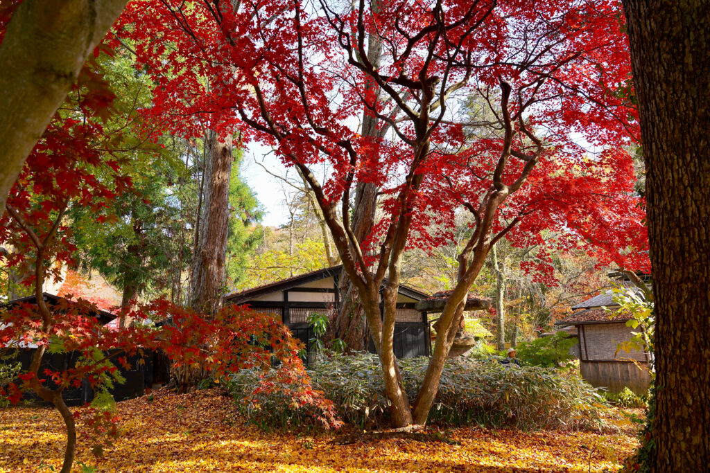 日本東北旅遊浪漫秋田賞楓景點TOP10 日本東北旅遊浪漫秋田賞楓景點TOP10 @Tournews