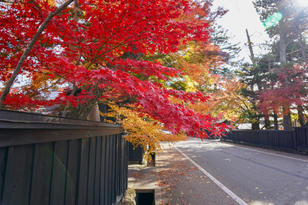 日本東北旅遊浪漫秋田賞楓景點TOP10 日本東北旅遊浪漫秋田賞楓景點TOP10 @Tournews