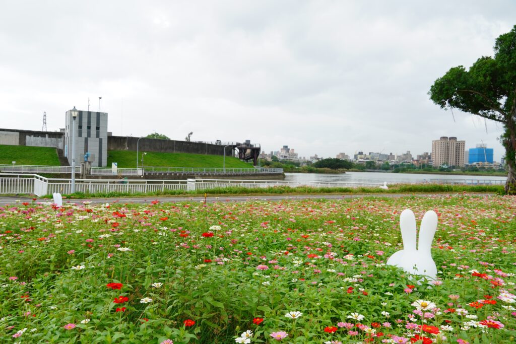 2024關渡花海‧花續北投! 關渡花海再增河濱展區 @去旅行新聞網