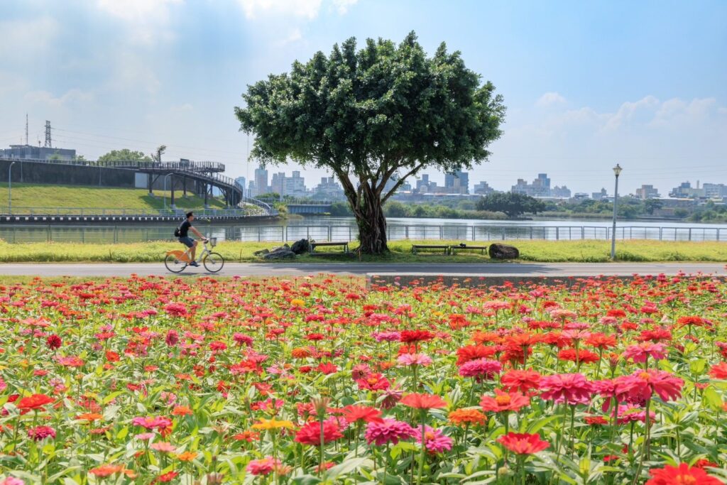 探索馬爾丁美食與豐富歷史的動人旅程 @去旅行新聞網