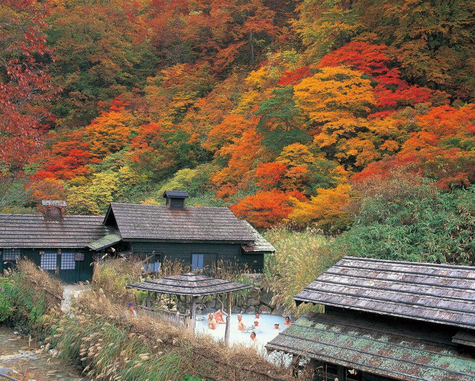 2024台北國際旅展 日本東北秋田秘境景點推薦 @去旅行新聞網