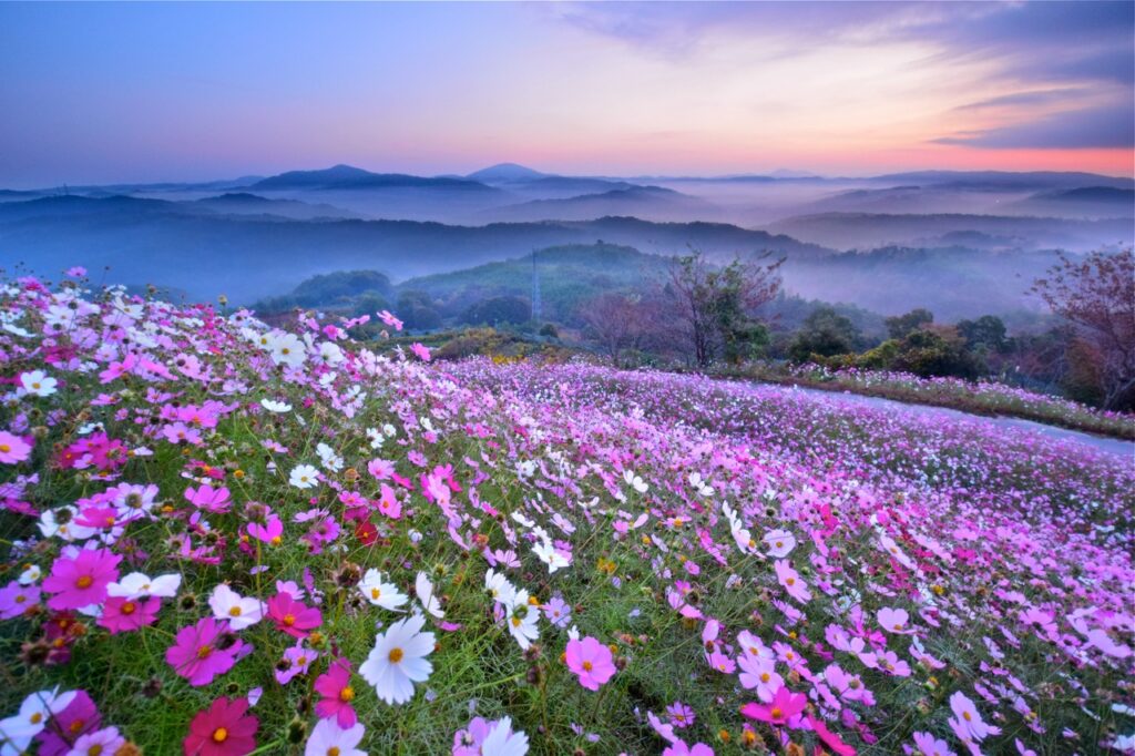 蘇花秘境SUP戲水天堂 東澳粉鳥林為你鎖住愛情 @去旅行新聞網