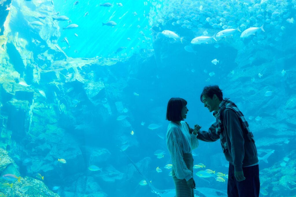 冬の水族館戀愛物語【第五章：鰻想跟你在一起】 從0到100%的獨家戀情加溫秘笈    快來譜下獨一無二的冬日戀曲 @去旅行新聞網