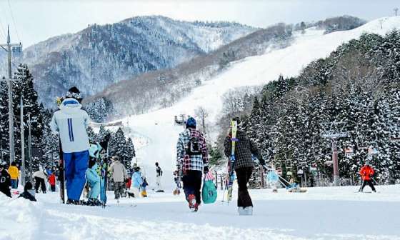 城崎溫泉周邊滑雪天堂！神鍋高原三大雪場全攻略 關西最佳滑雪勝地！城崎溫泉近郊神鍋高原冬季饗宴 冬季親子樂優選 「神鍋高原」玩雪、泡湯、啖松葉蟹 @去旅行新聞網