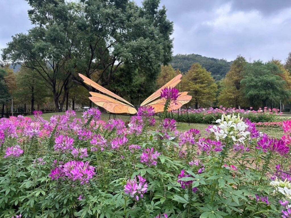 日本長野國寶松本城散策 松本市美術館賞草間彌生精彩作品 @去旅行新聞網